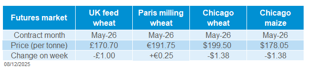 Grain futures 08 12 202572.png